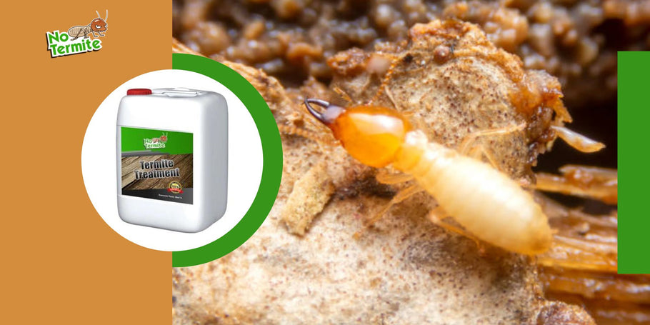 Katerim pastem se je treba izogibati v boju s termiti?