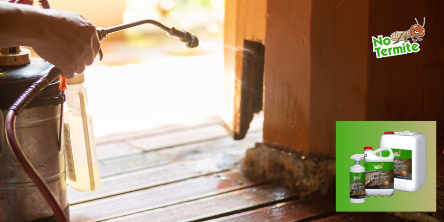 Ali lahko termiti povzročijo resno strukturno škodo v domu?