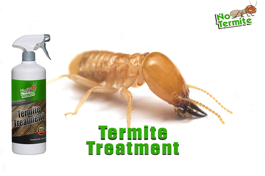 Pomen strategij za boj proti termitom