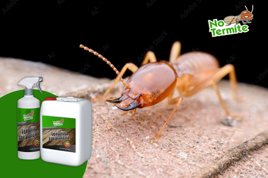 Ali so tehnike proti termiti učinkovite?