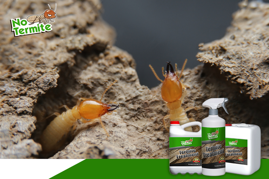 Kateri so ključni elementi učinkovite obrambe od termitov?