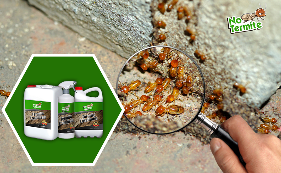 Toda ali je repelent za termite učinkovit?